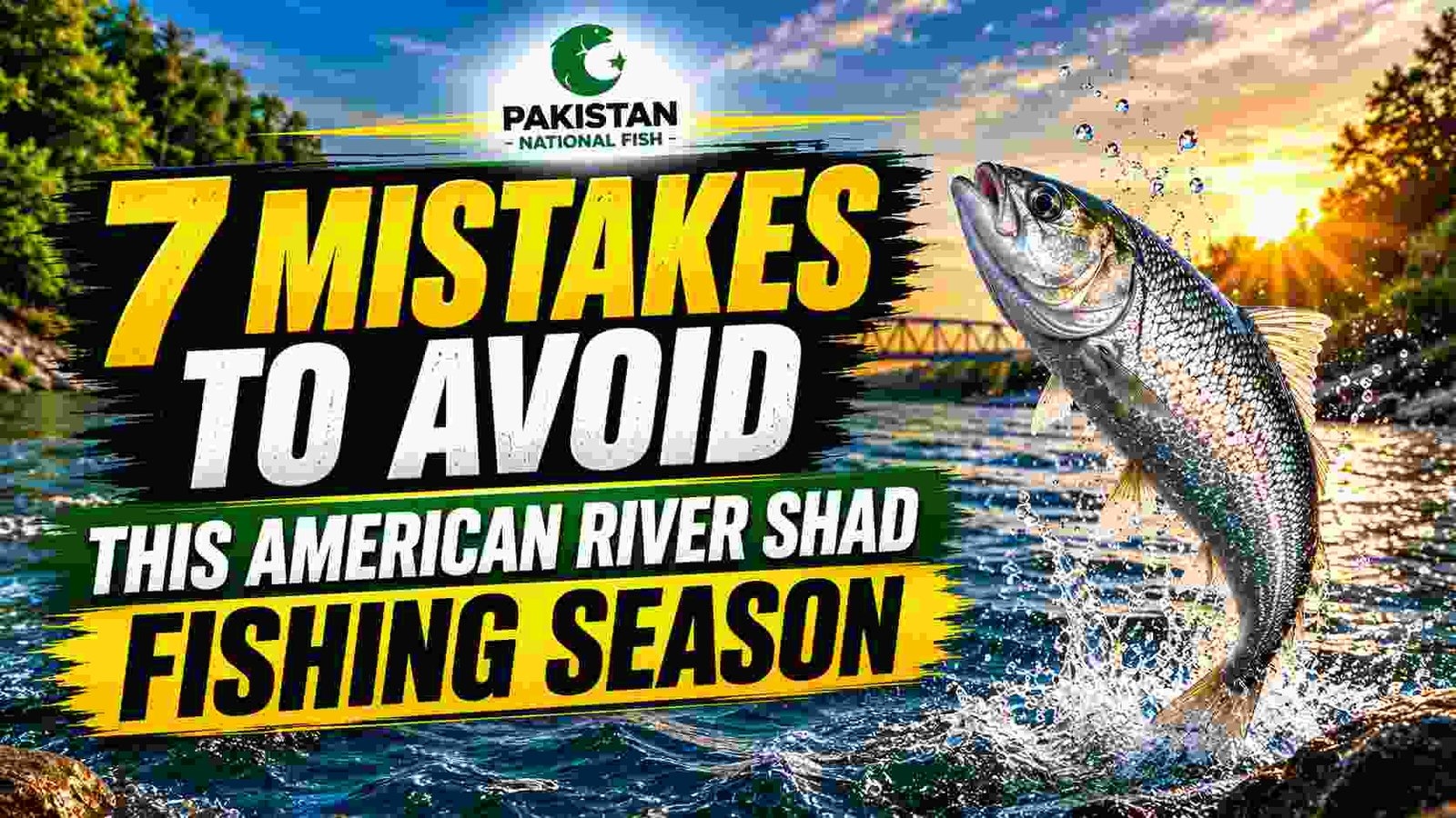 7 Mistakes To Avoid This American River Shad Fishing Season