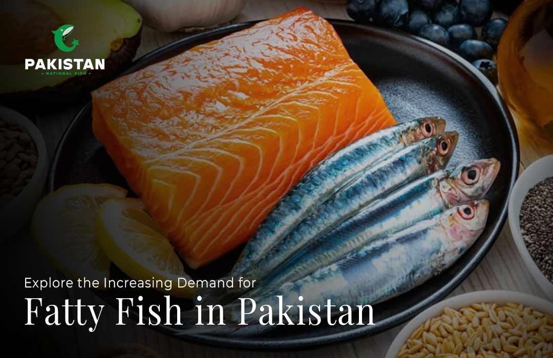 Explore the Increasing Demand for Fatty Fish in Pakistan
