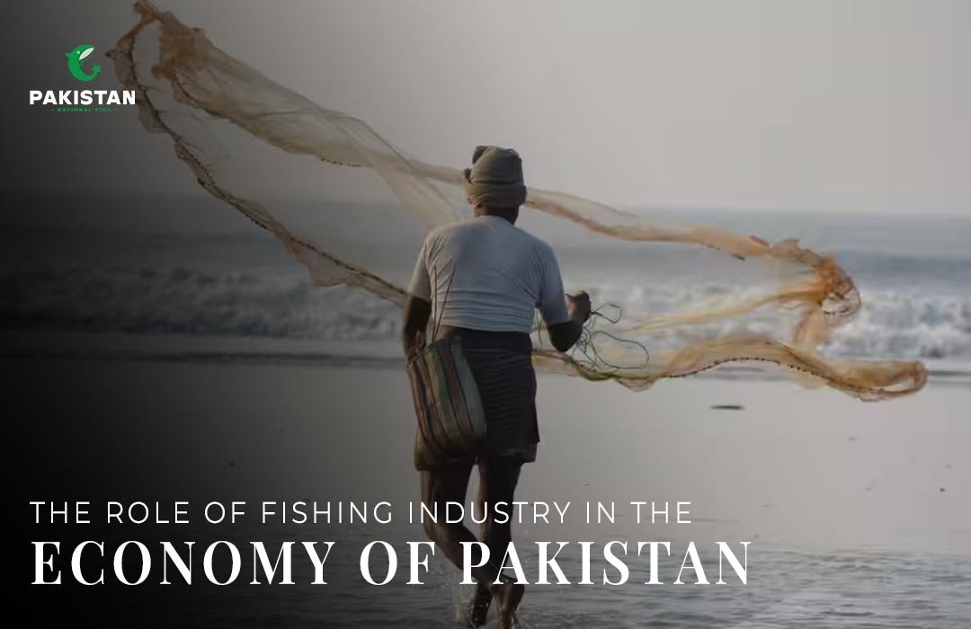 The Role Of The Fishing Industry In The Economy Of Pakistan