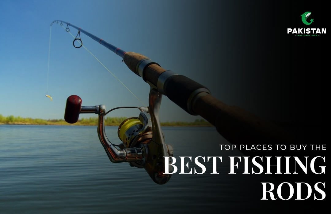 Top Places To Buy The Best Fishing Rods