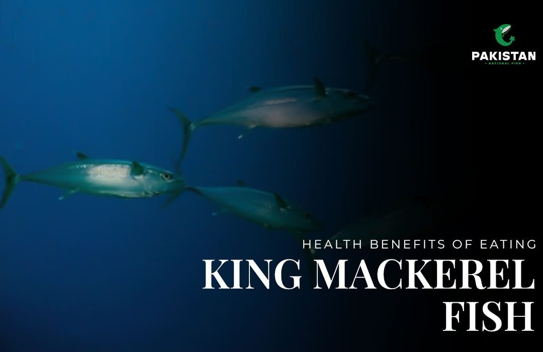 Health Benefits of Eating King Mackerel Fish