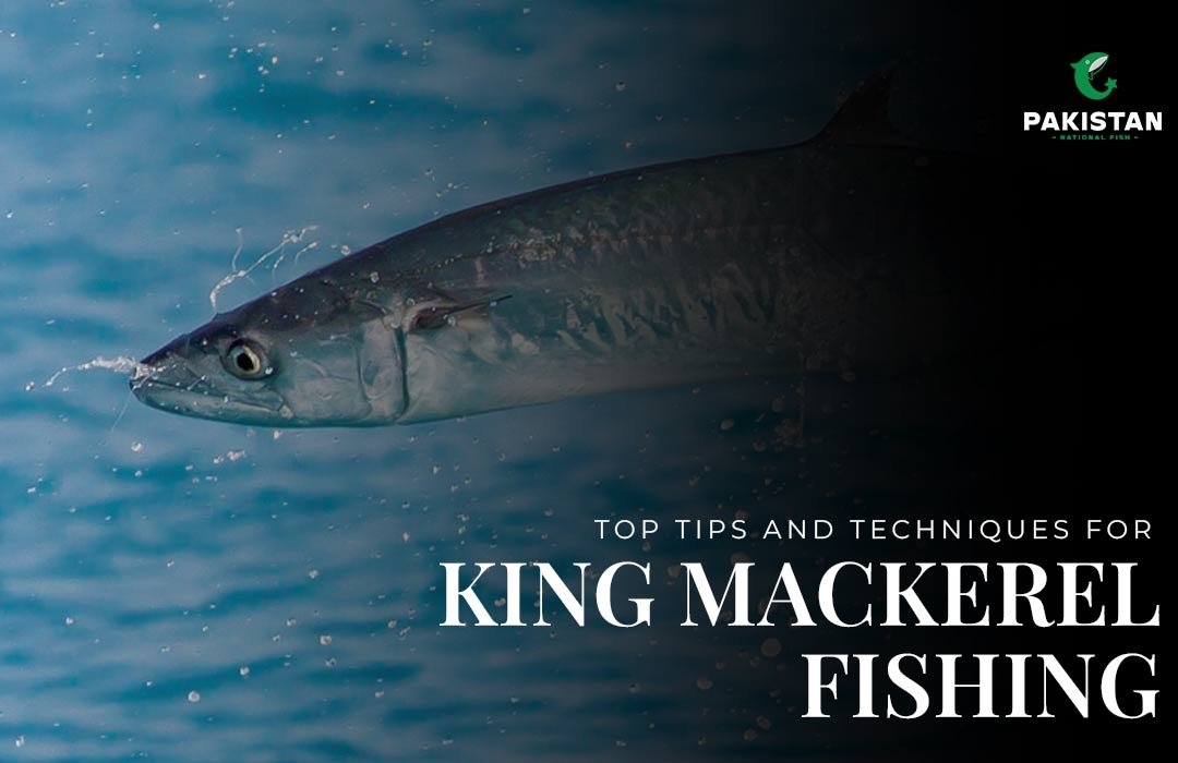 Top Tips and Techniques for King Mackerel Fishing