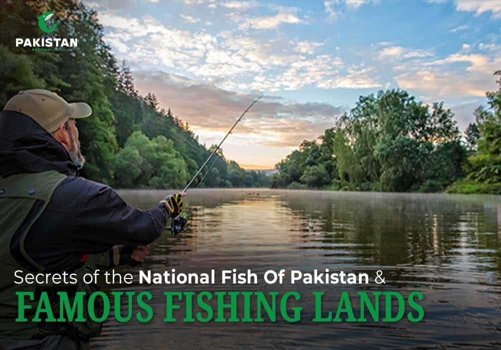 Secrets Of the National Fish Of Pakistan And Famous Fishing Lands