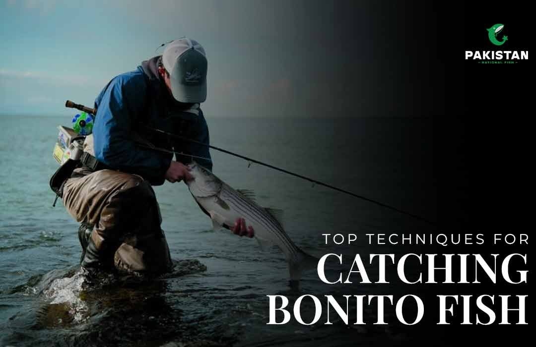 Top Techniques For Catching Bonito Fish