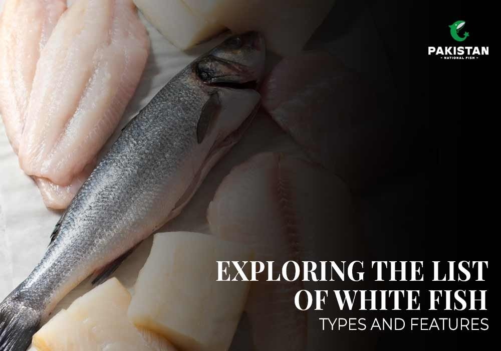 Exploring the List of White Fish: Types and Features