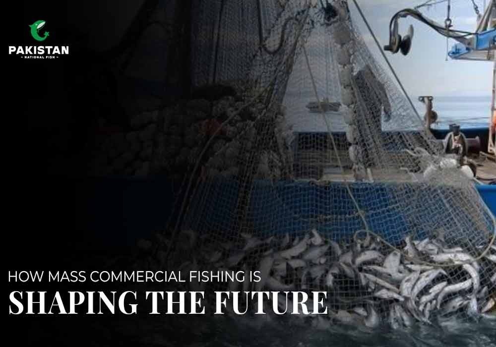How Mass Commercial Fishing Is Shaping the Future