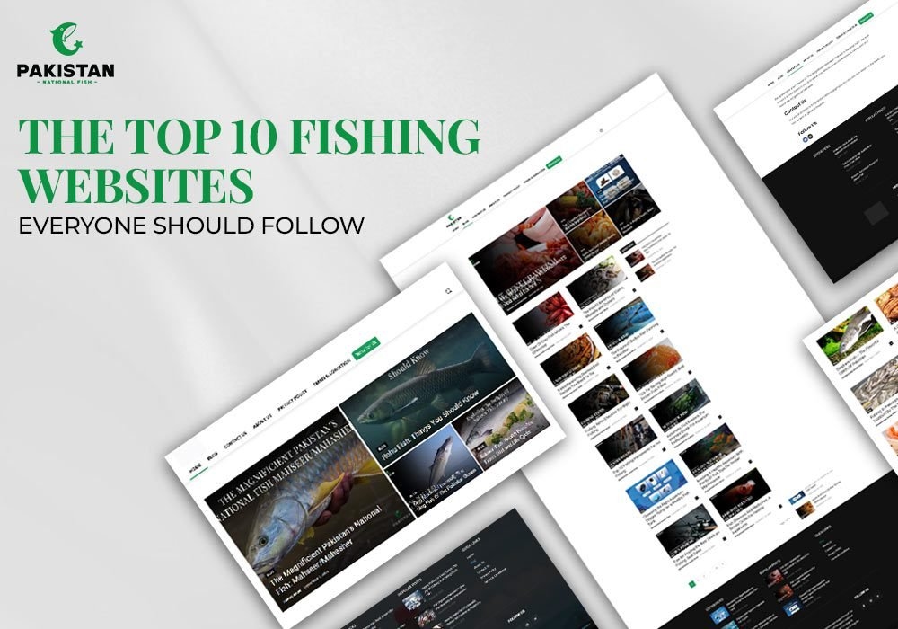 Top 10 Fishing Websites Everyone Should Follow