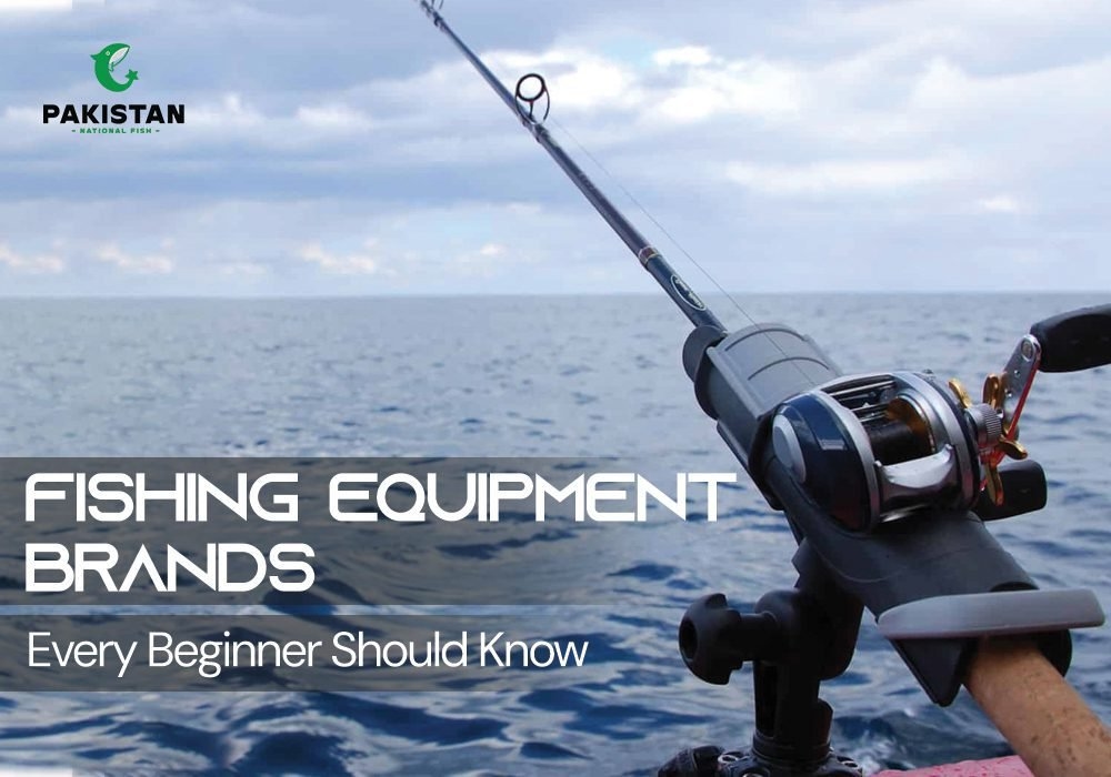 Fishing Equipment Brands Every Beginner Should Know