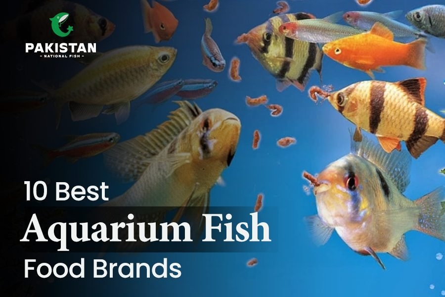 10 Best Aquarium Fish Food Brands