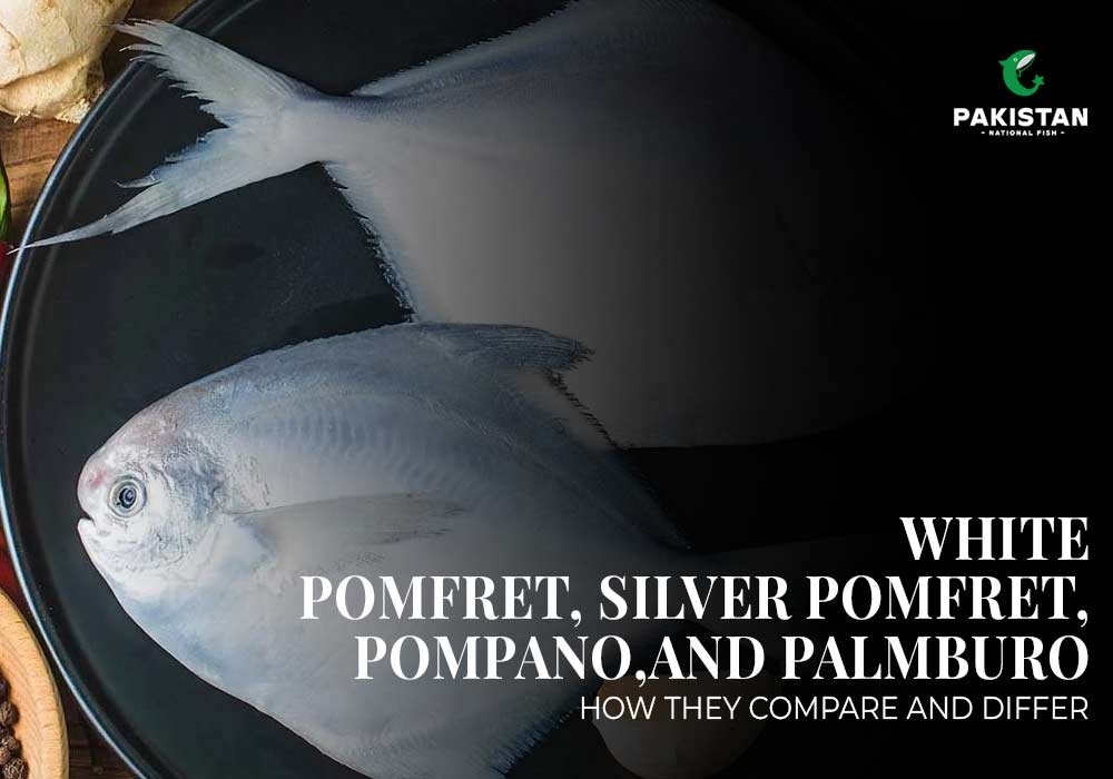 White Pomfret, Silver Pomfret, Pompano, And Palmburo: How They Compare and Differ