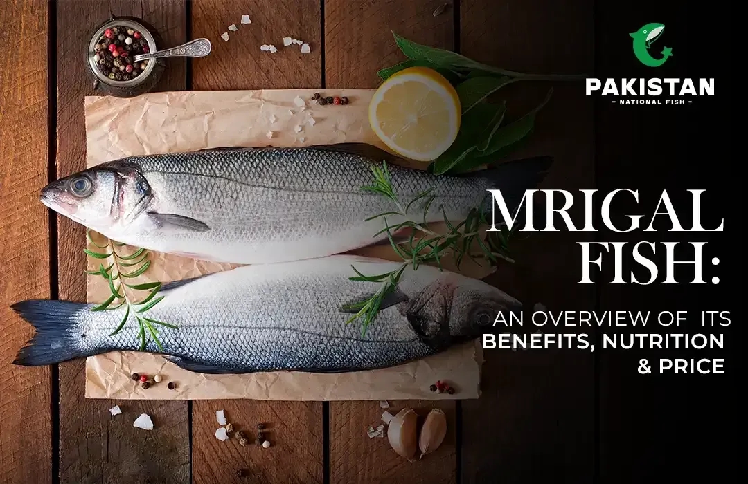 Mrigal Fish: An Overview of Its Benefits, Nutrition, And Price
