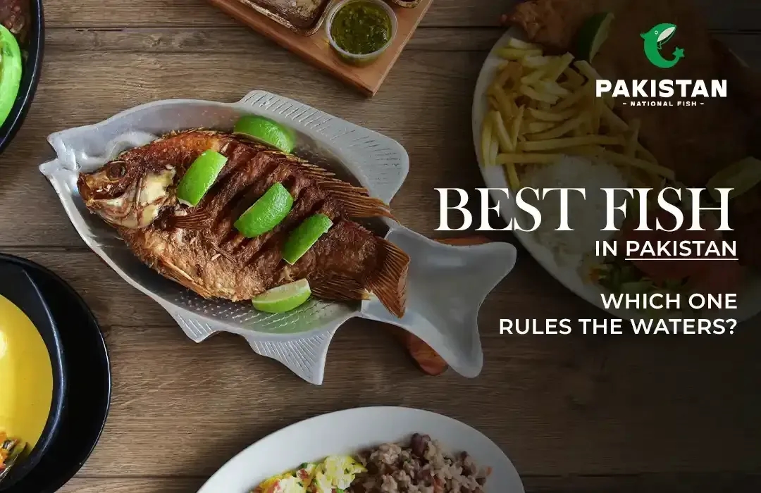 Best Fish in Pakistan – Which One Rules the Waters?