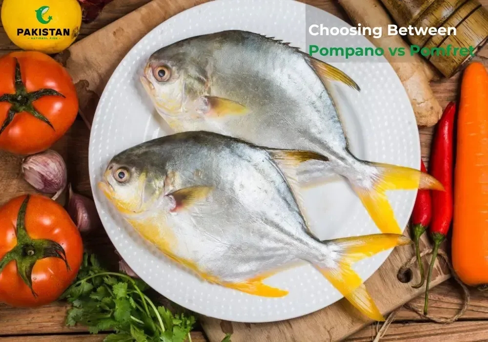 Pompano vs Pomfret: The Fish Debate That Seafood Lovers Never Seem to Settle