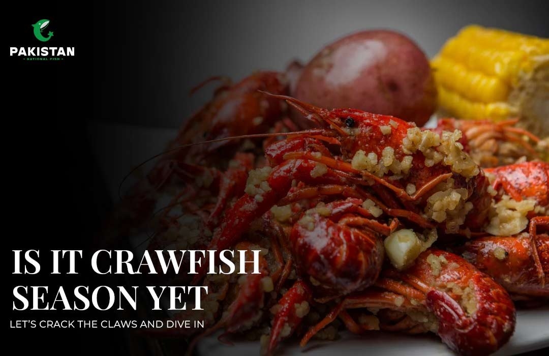 Is It Crawfish Season Yet? Let’s Crack the Claws and Dive In