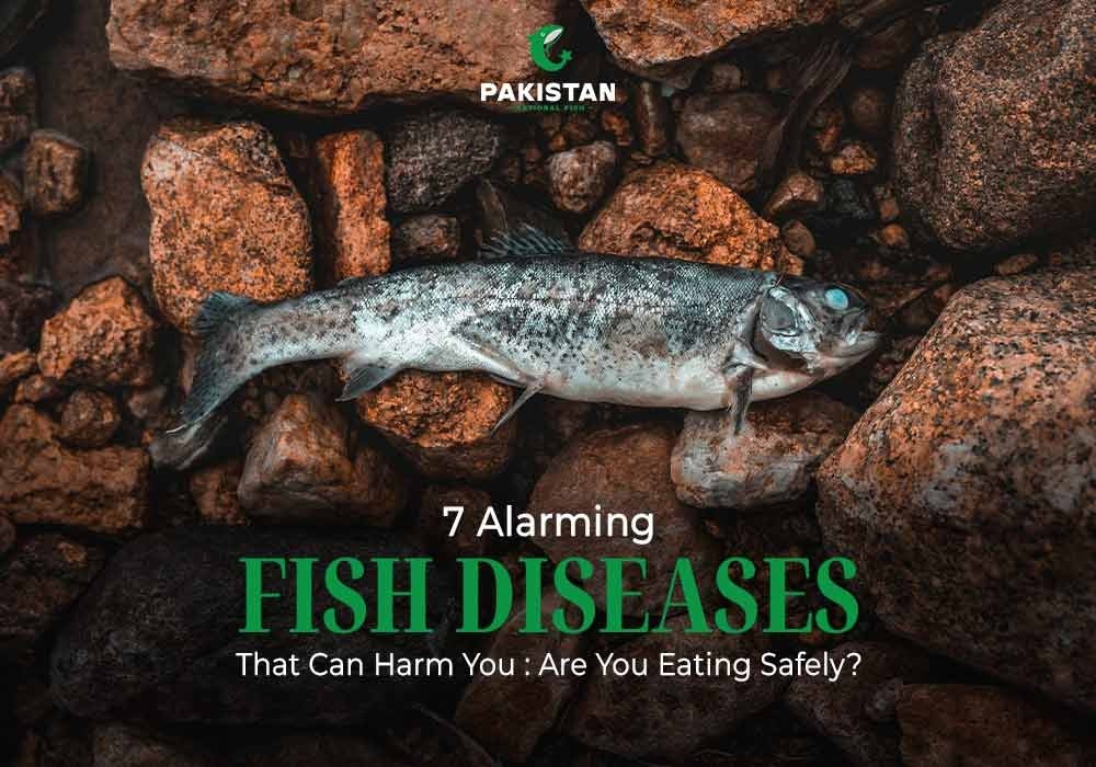 7 Alarming Fish Diseases That Can Harm You: Are You Eating Safely?