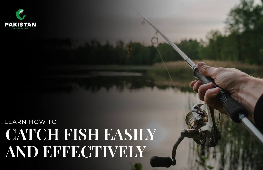 How to Catch Fish Easily and Effectively?