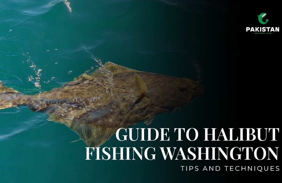 Guide to Halibut Fishing in Washington: Tips and Techniques