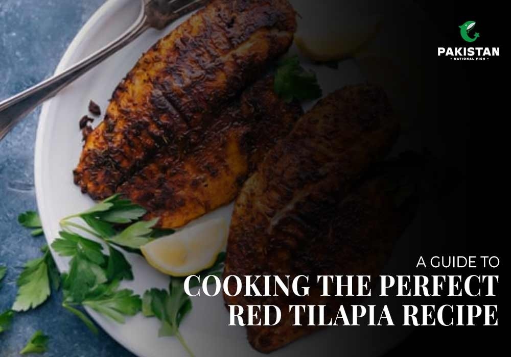 A Guide to Cooking the Perfect Red Tilapia Recipe