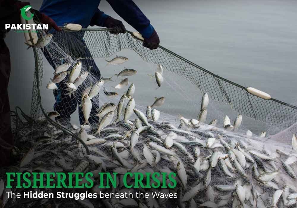 Fisheries in Crisis: The Hidden Struggles beneath the Waves