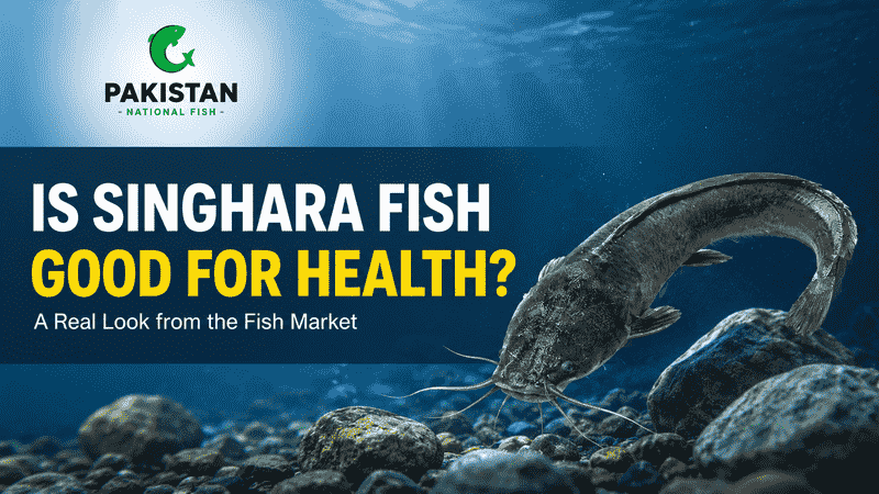 Is Singhara Fish Good for Health? A Real Look from the Fish Market