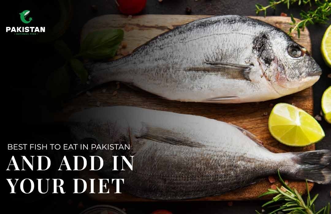 Best Kinds Of Fish To Eat In Pakistan And Add In Your Diet