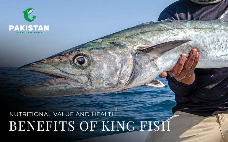 Nutritional Value And Health Benefits Of The Kingfish