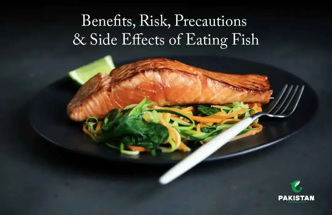 Benefits, Risks, Precautions, And Side Effects Of Eating Fish.