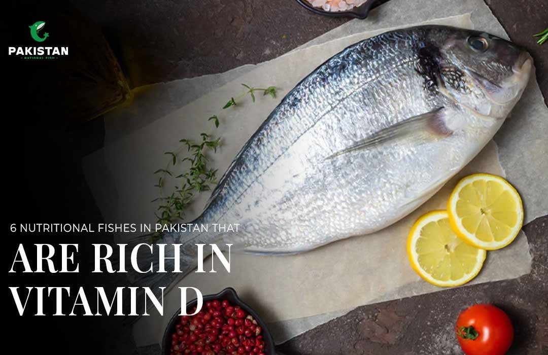 6 Nutritional Fishes In Pakistan That Are Rich In Vitamin D