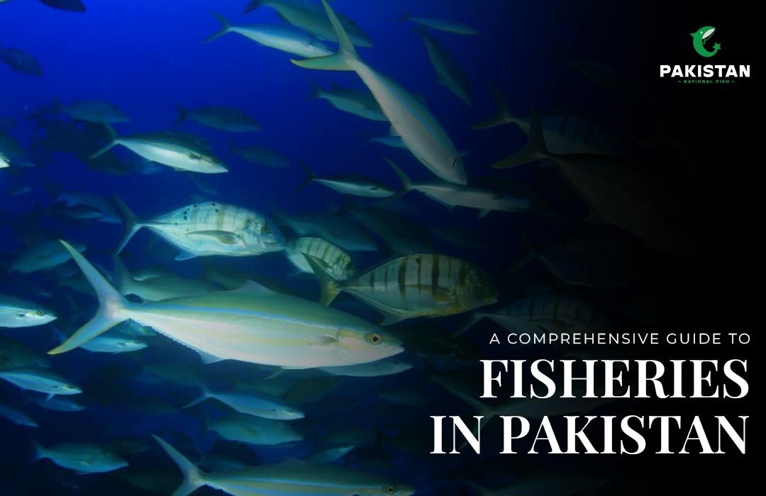 A comprehensive guide to fisheries in pakistan