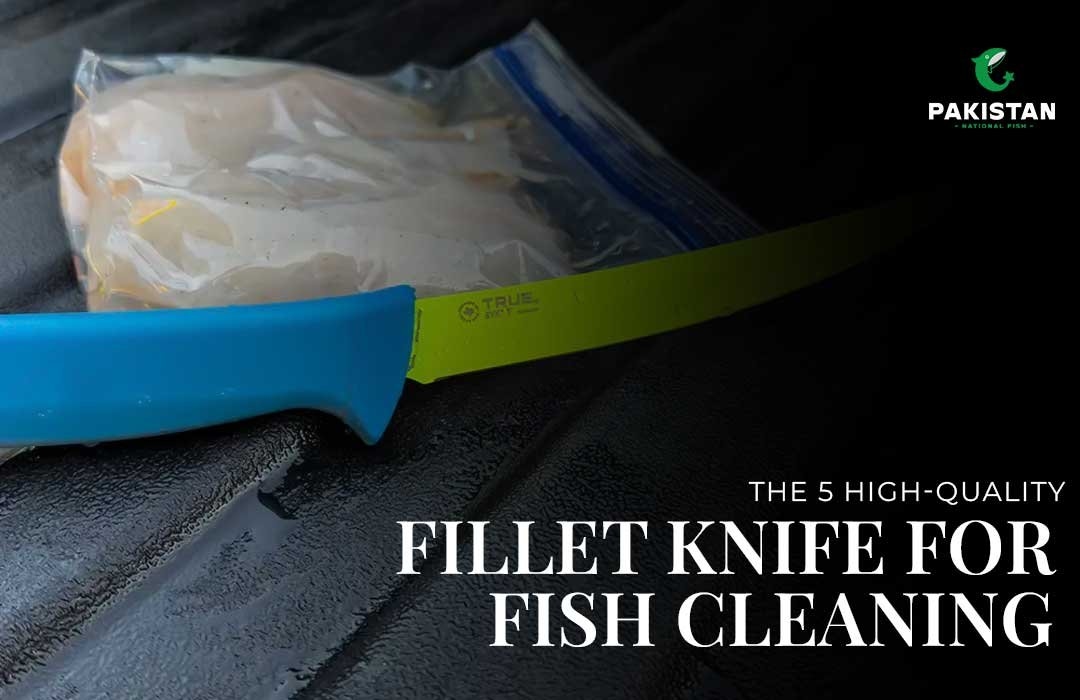 The 5 High Quality Fillet Knife for Fish Cleaning