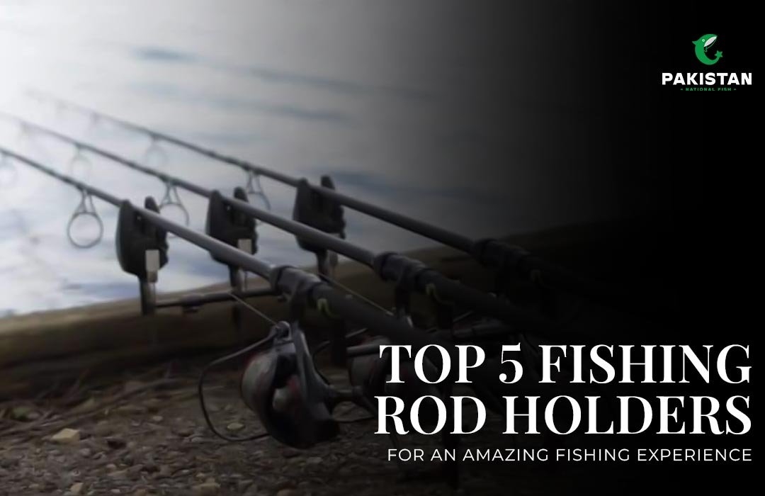 Top 5 Fishing Rod Good Holders for an Amazing Fishing Experience