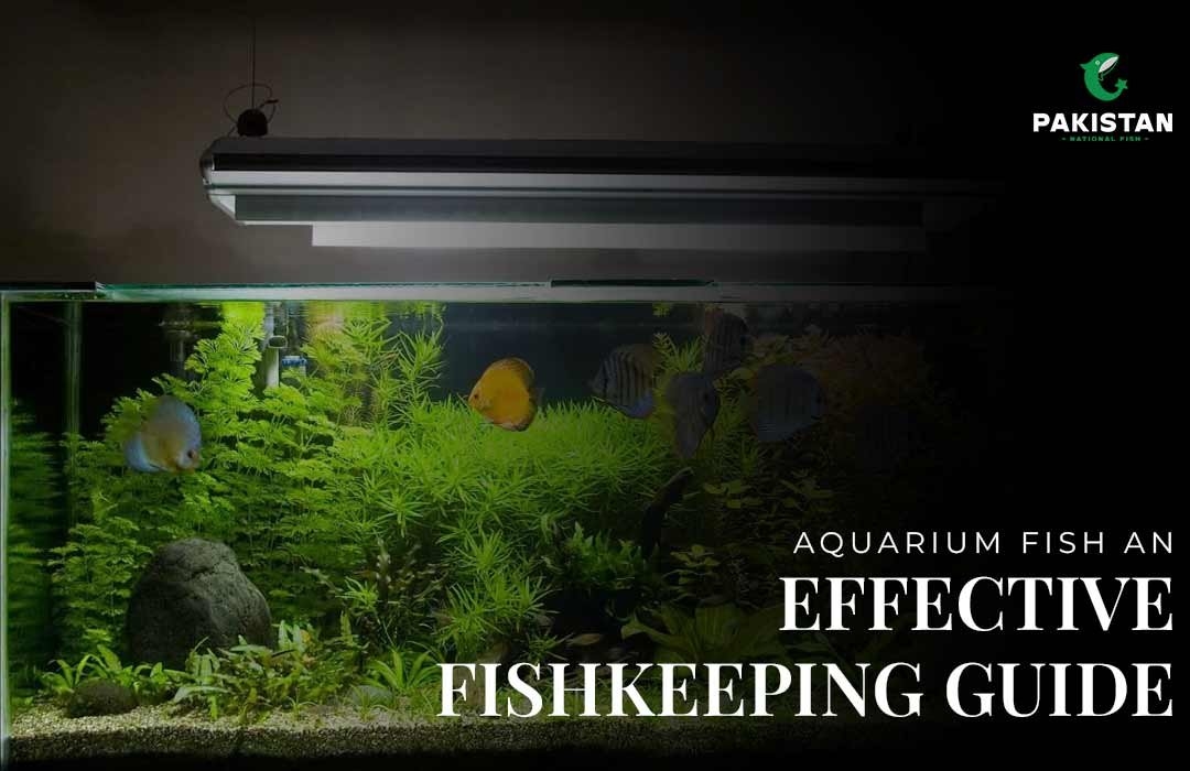 Aquarium Fish: An Effective Fishkeeping Guide