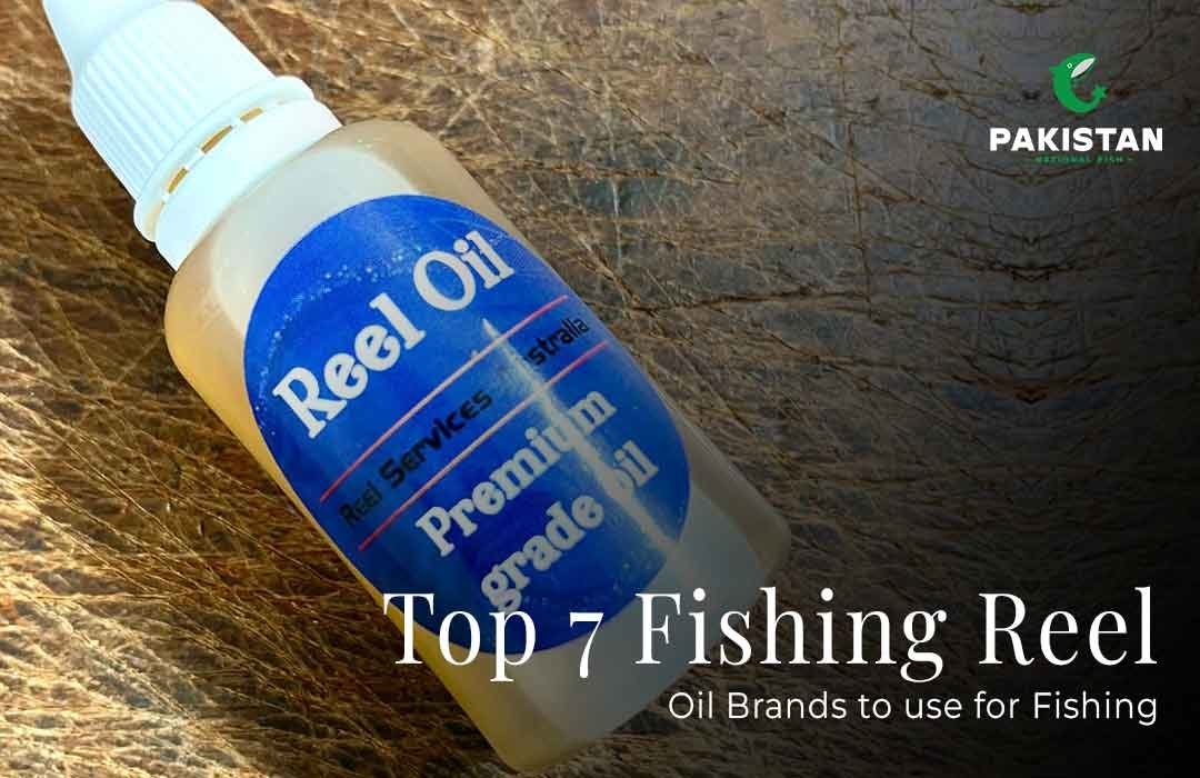 Top 7 Fishing Reel Oil Brands for Optimal Performance