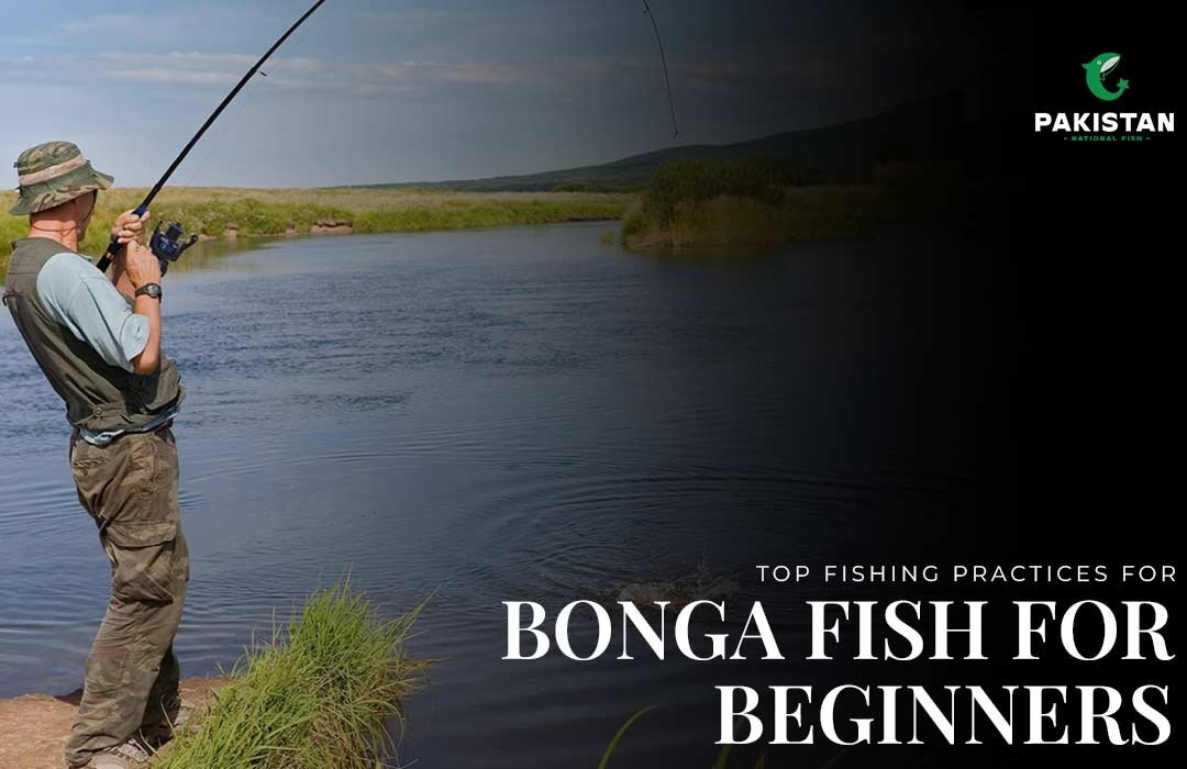 Top Fishing Practices for Bonga Fish for Beginners