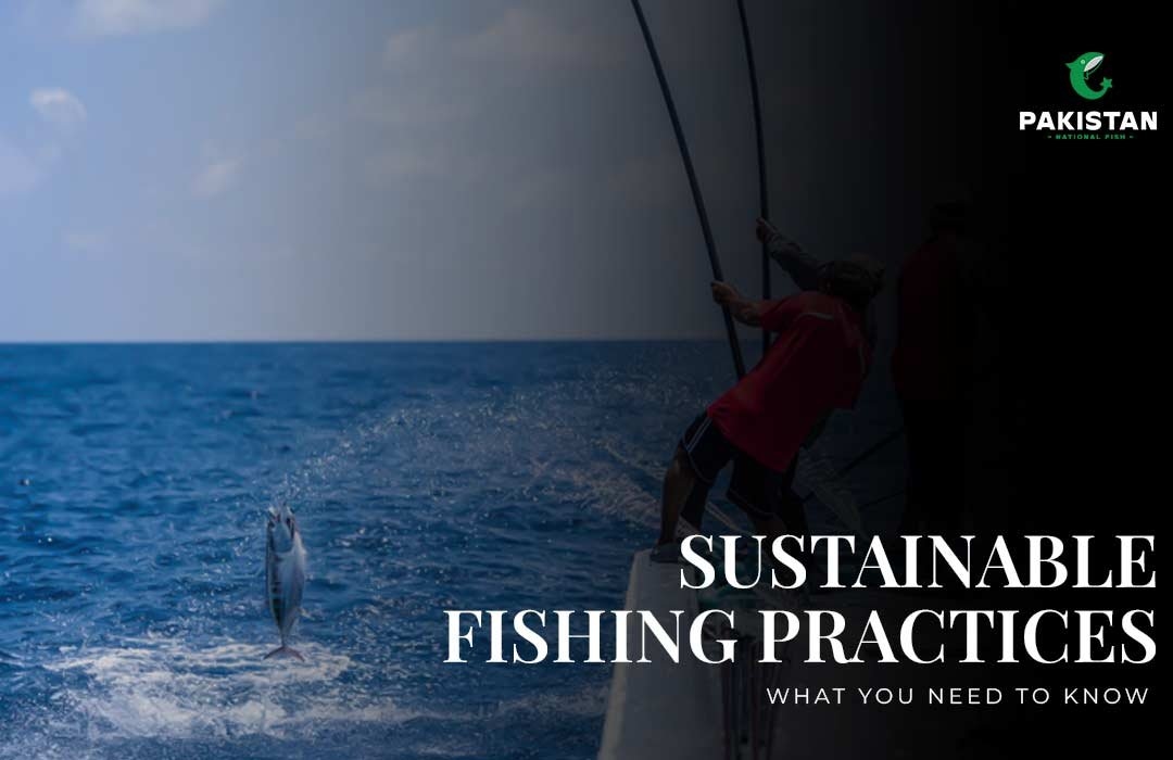 Sustainable Fishing Practices: What You Need to Know