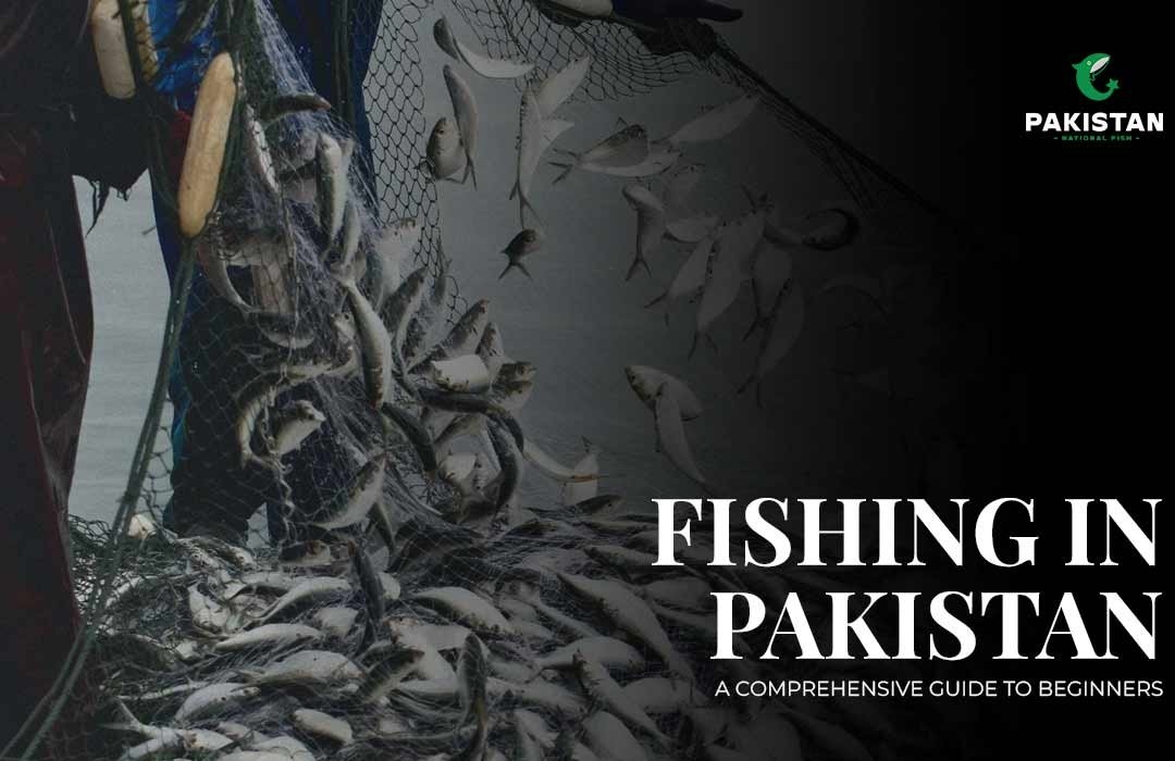 Fishing in Pakistan: A Comprehensive Guide for Beginners