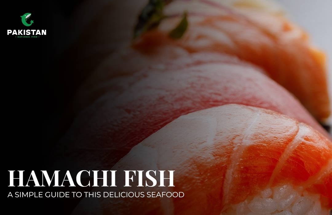 Hamachi Fish: A Simple Guide to This Delicious Seafood