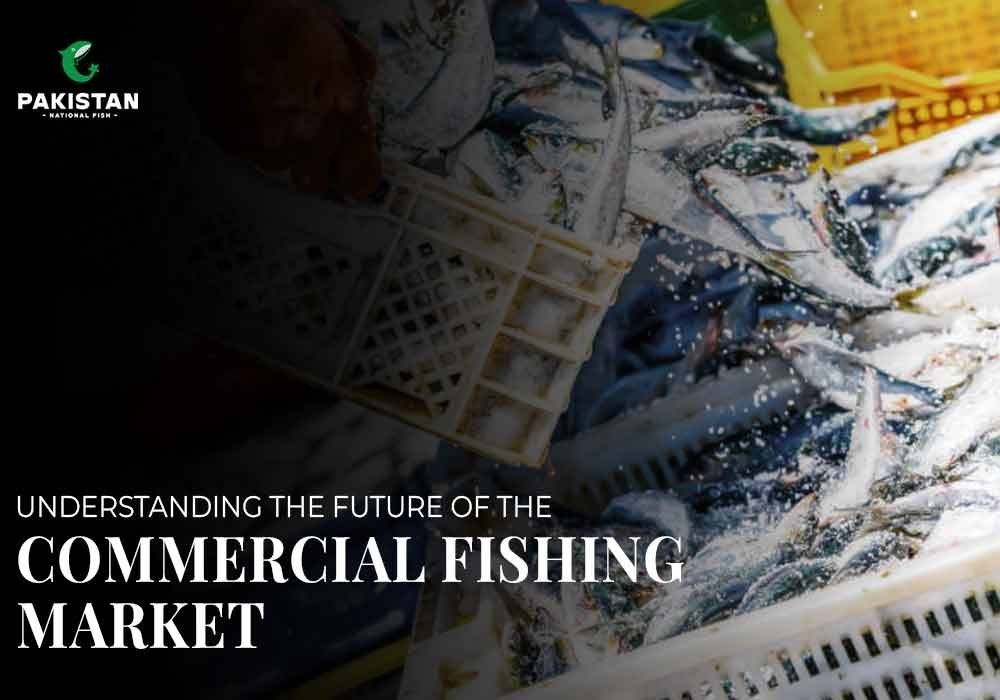 Understanding the Future of the Commercial Fishing Market