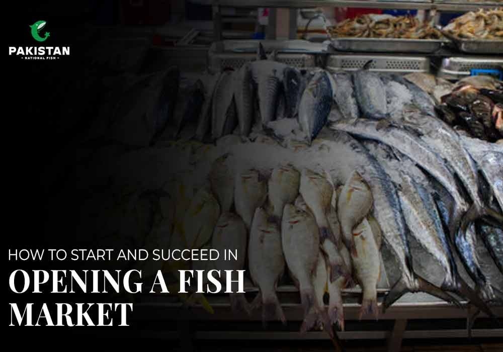 How to Start and Succeed In Opening a Fish Market