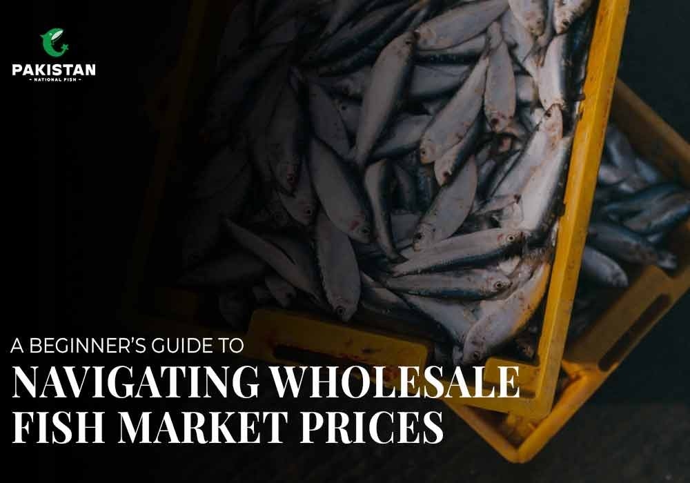 A Beginner’s Guide to Navigating Wholesale Fish Market Prices