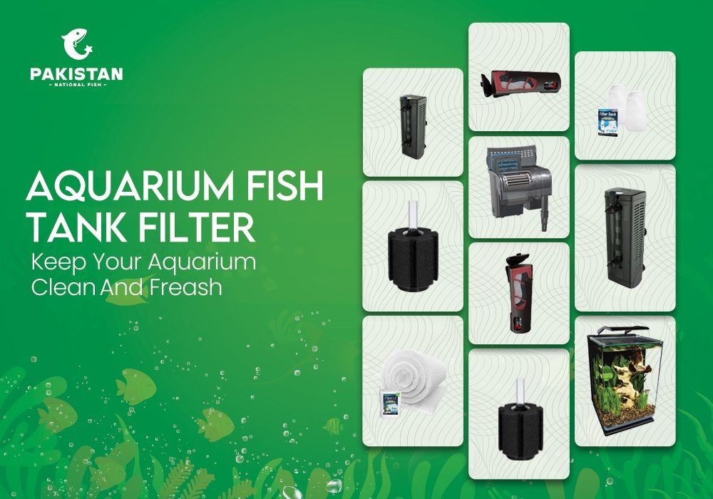 Aquarium Fish Tank Filter: Keep Your Aquarium Clean And Fresh