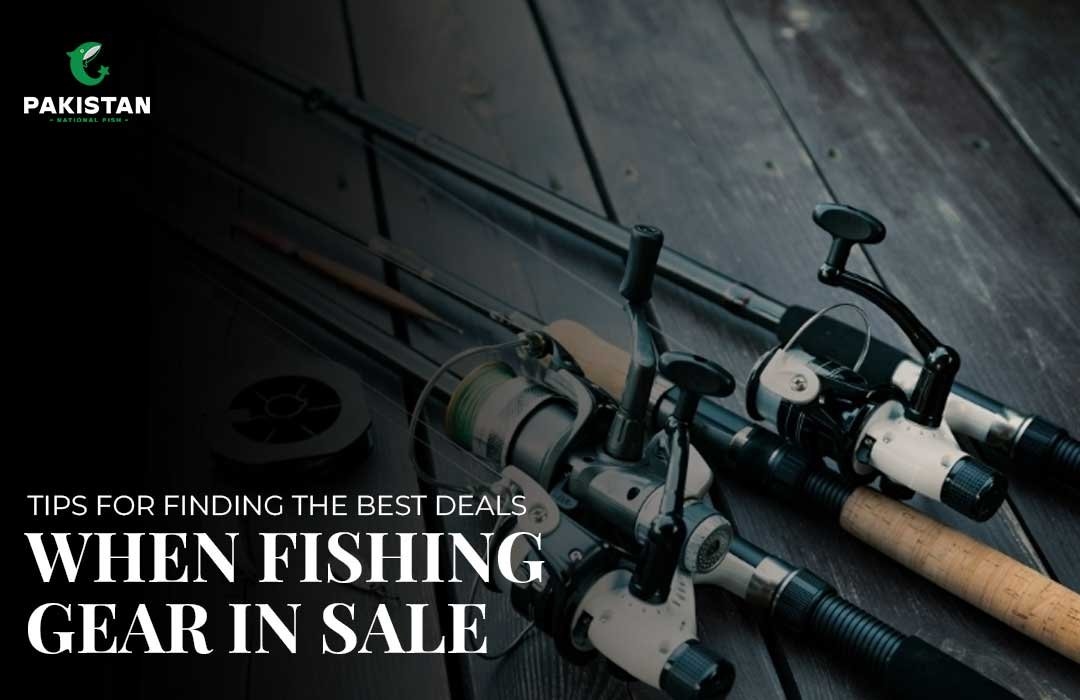 Tips for Finding the Best Deals on Fishing Gear Sales