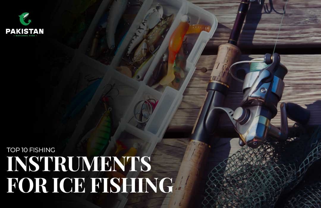 Top 10 Fishing Instruments For Ice Fishing