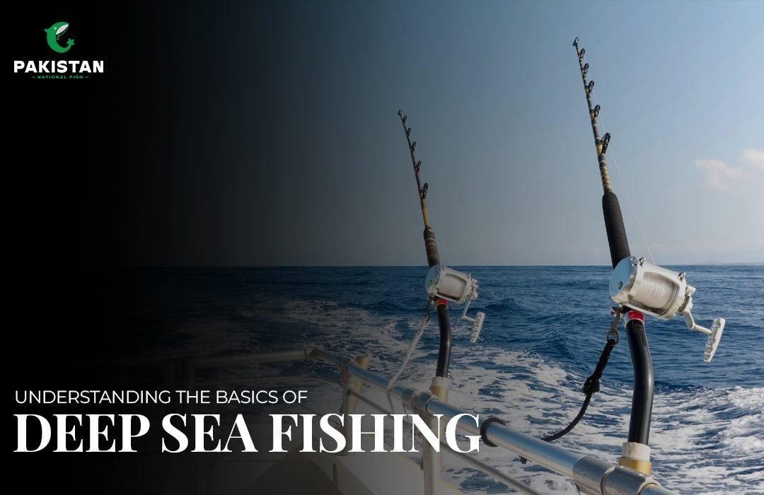 Understanding the Basics of Deep Sea Fishing