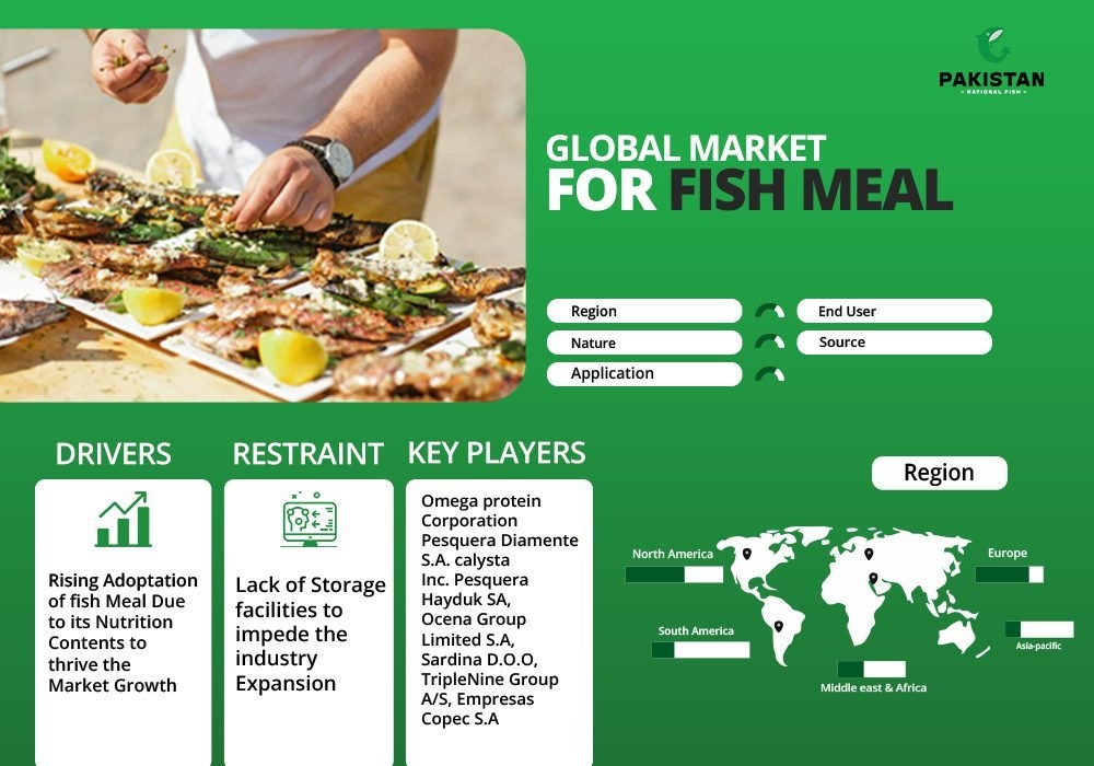 The Trends and Forecasts about the Global Market for Fish Meal