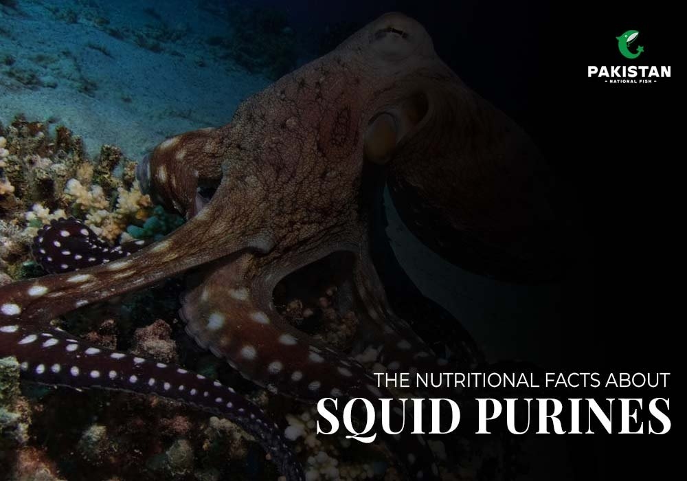 The Nutritional Facts about Squid Purines