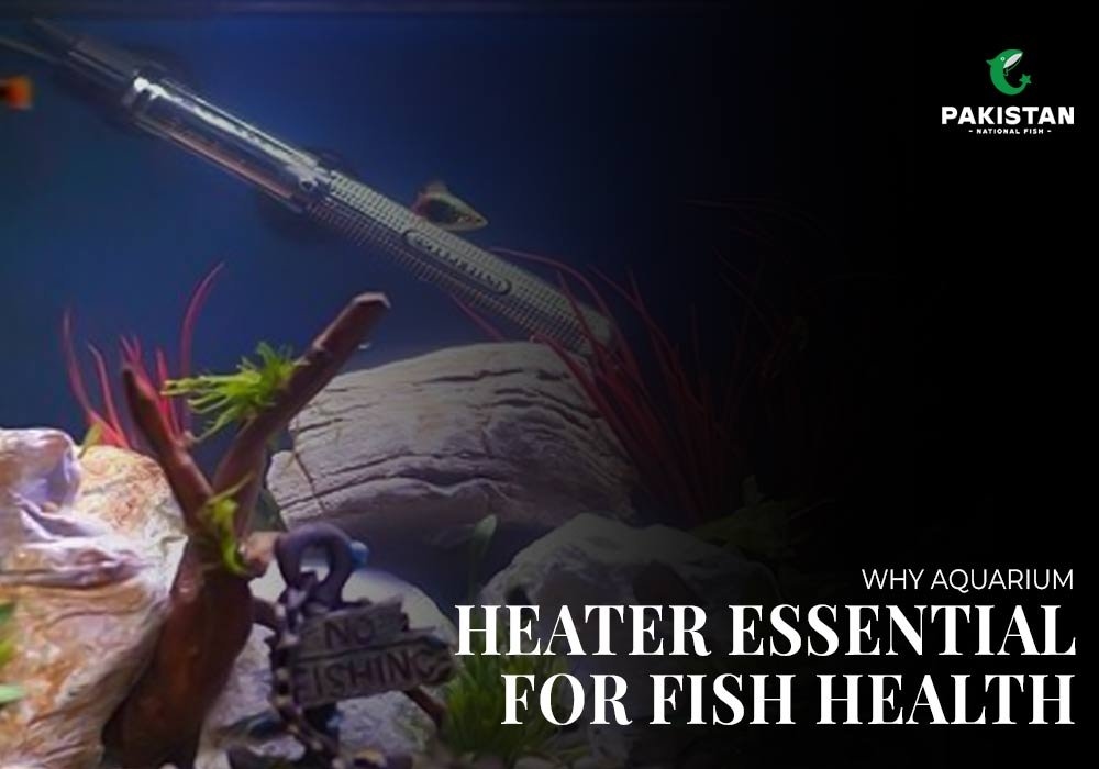Why Aquarium Heater Essential for Fish Health?