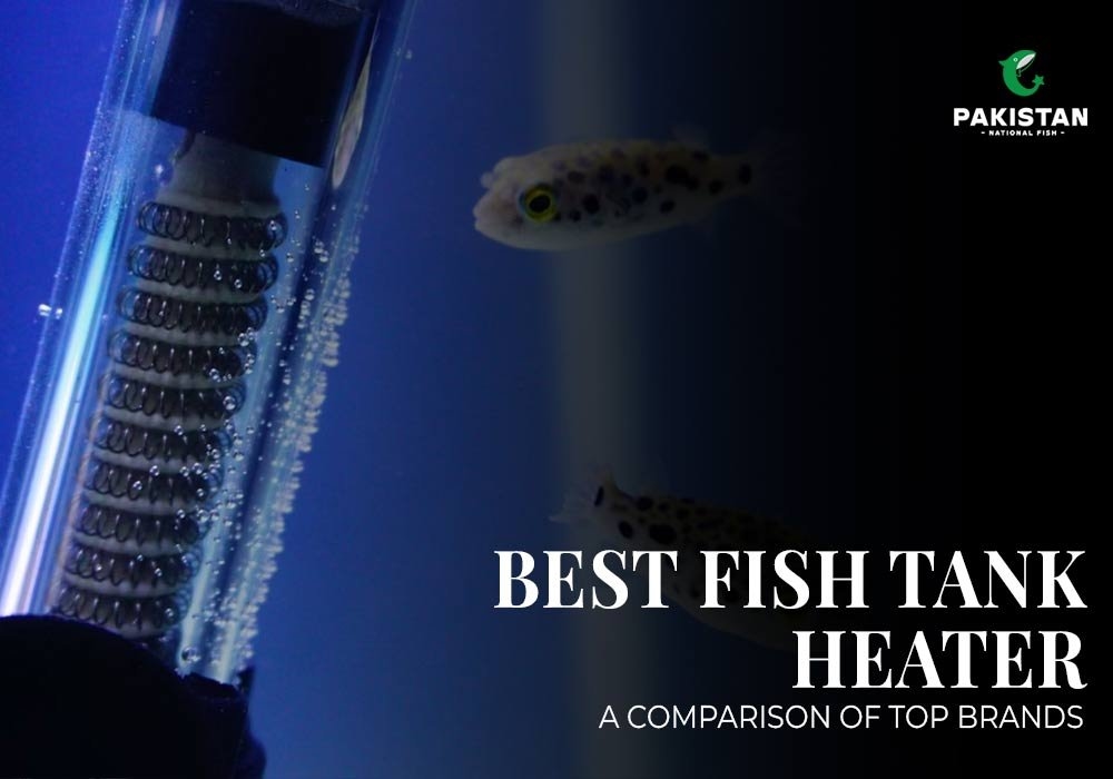 Best Fish Tank Heater: A Comparison of Top Brands