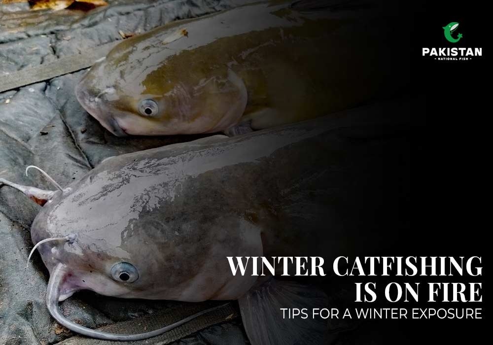 Winter Catfishing Is on Fire: Tips for A Winter Exposure