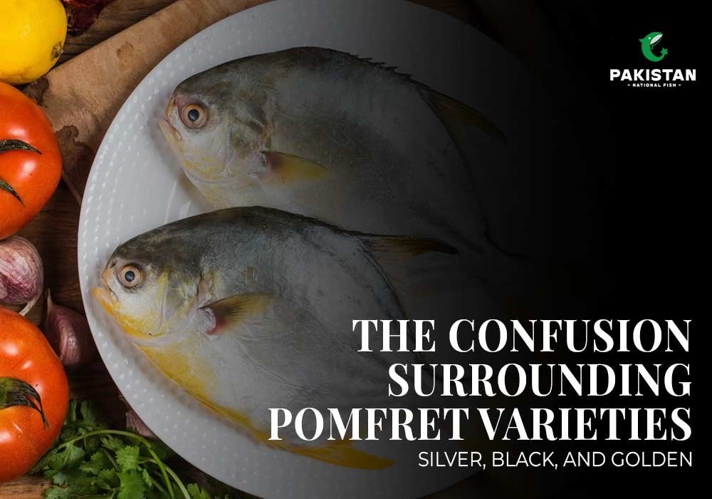 The Confusion Surrounding Pomfret Varieties: Silver, Black And Golden